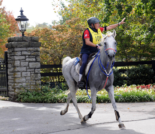 Endurance_Janice Worthington & Golden Lightning_USA_Photo by Allen MacMillan_AGM_0208