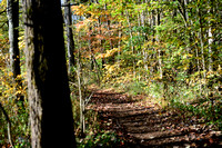 Trails Cam#1 Oct 16 20